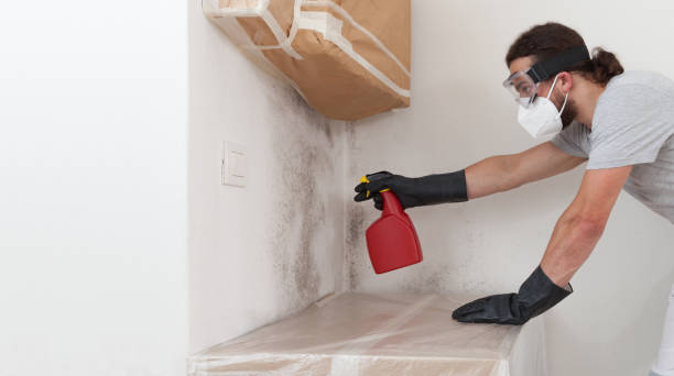 Professional Hvac And Air Duct Mold Remediation technician working in Alpine, NJ